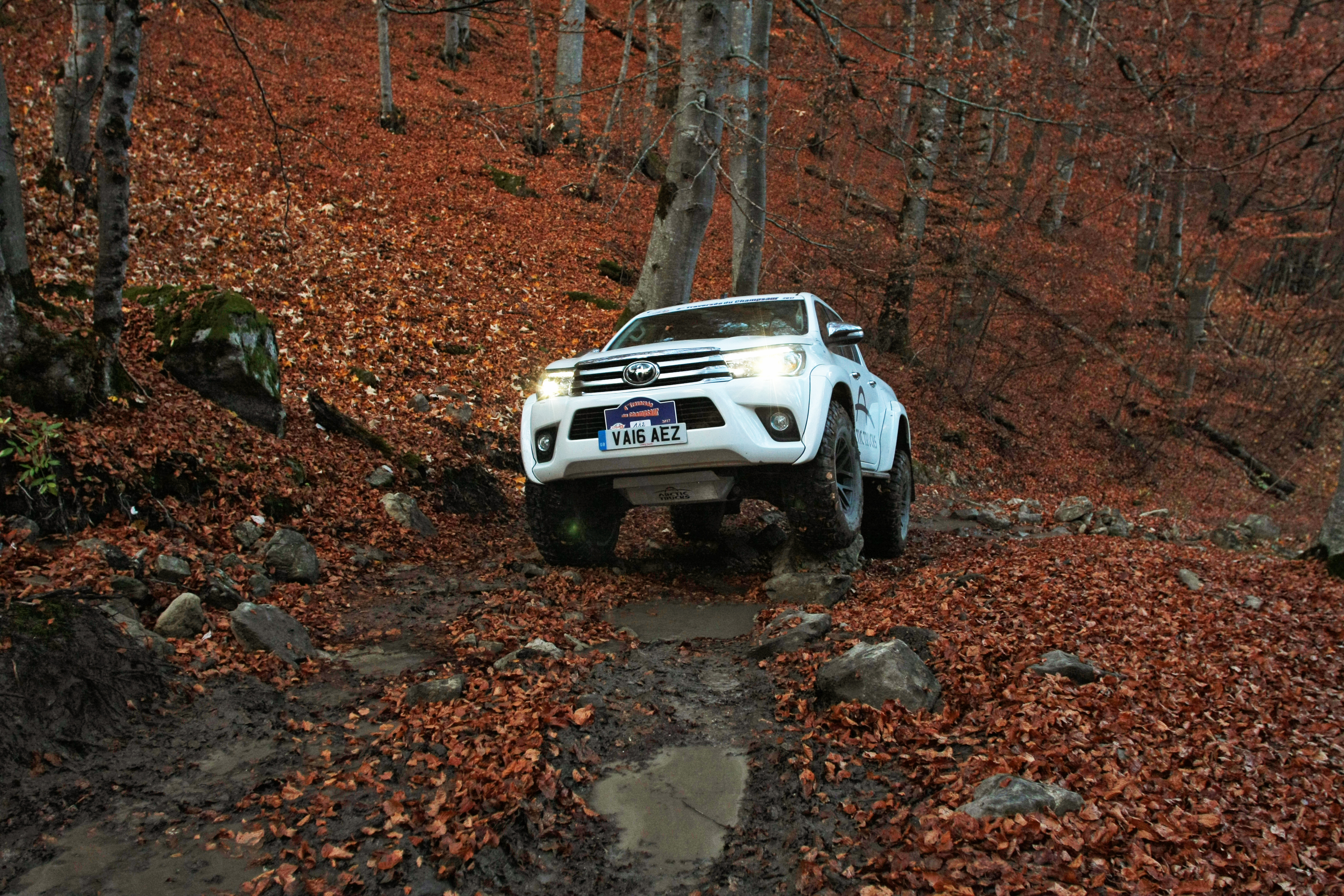 A white SUV navigates a rugged, leaf-covered forest path during autumn. The scene conveys adventure and exploration amid vibrant orange foliage.